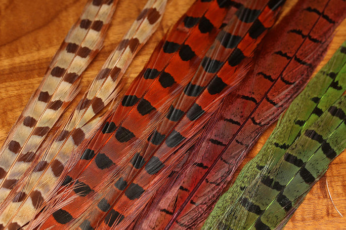 UV2 Ringneck Pheasant Tail Feathers