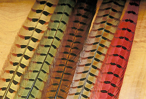 Ringneck Pheasant Tail Feathers - East Rosebud Fly & Tackle