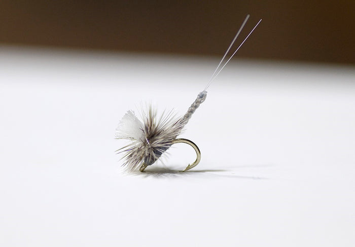Bauer's Extended Body Mayfly