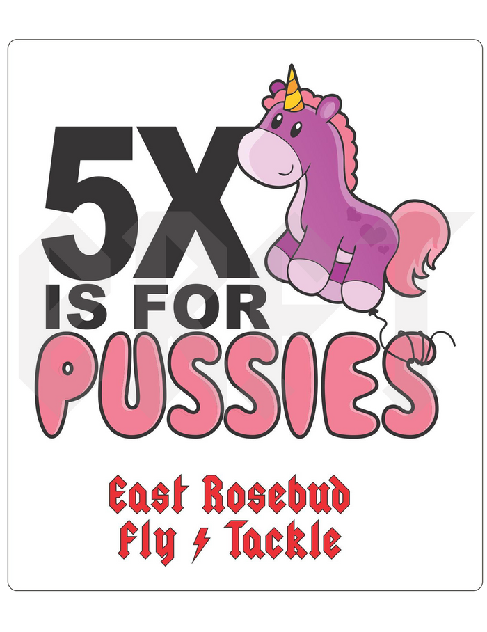 5X is for Pussies Sticker